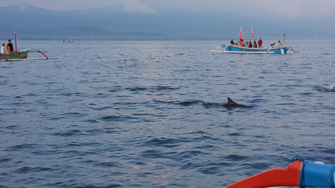 20160207 065924 (2016 10 02 16 07 39 UTC)